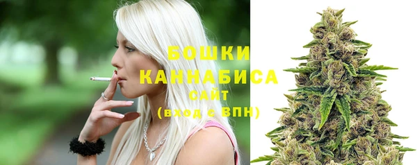 ПСИЛОЦИБИНОВЫЕ ГРИБЫ Балабаново