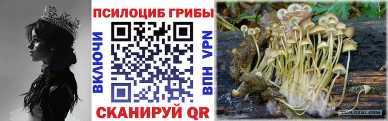 Псилоцибиновые грибы прущие грибы  цена наркотик  дарк нет как зайти  Пушкино 